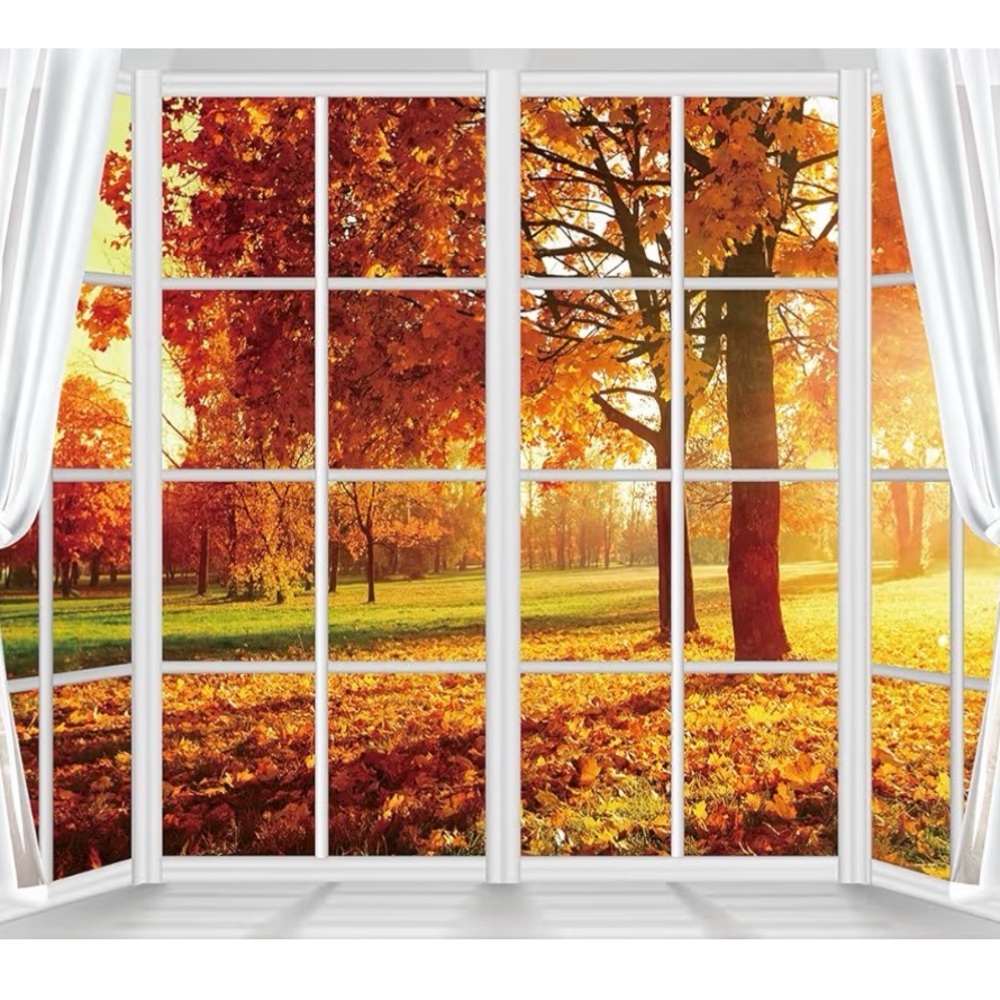 Fall Window Backdrop 5 x 7, Autumn Forest Maple Leaves Natural Scenery